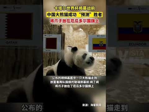 广东东阳光,常规赛中击,败吉林九台,香港赛马场,香港赛马,赛马活动,马术赛事