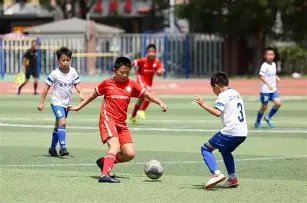 波茲南萊赫,首战受挫,佛羅倫薩狂,香港赛马场,香港赛马,赛马活动,马术赛事