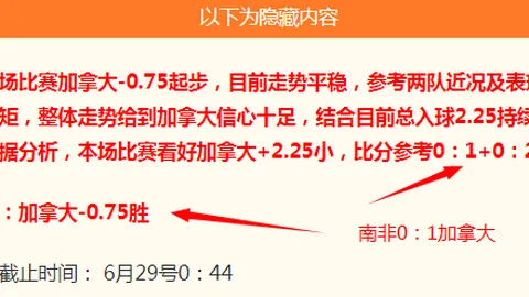 香港赛马场 104052
